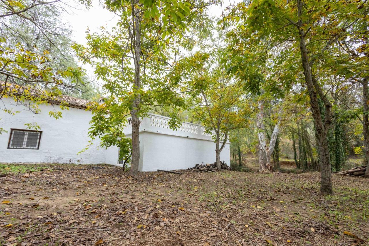 Villa Molino De Gris Cazorla Chilluevar Exterior foto